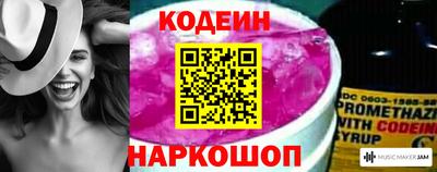 a pvp Камышлов