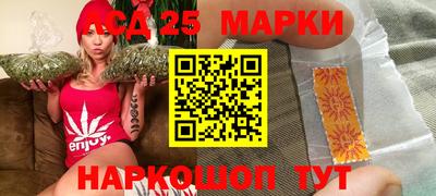 a pvp Камышлов