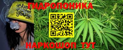 прущие крисы Кандалакша