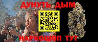 a pvp Камышлов