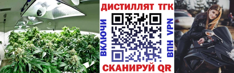 ссылка на мегу ССЫЛКА Кировск Дистиллят ТГК THC oil цена наркотик
