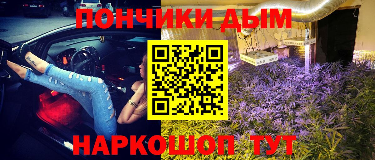 Бошки Шишки планчик  Вход с VPN  Кировск  Бошки марихуана OG Kush 